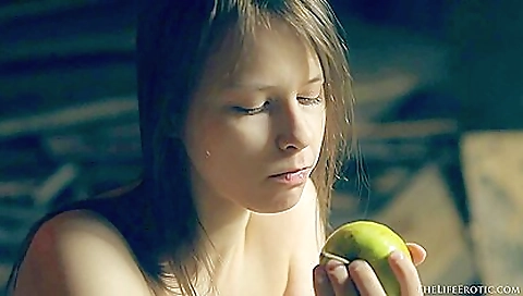 Mash disroboi zerotolerancet produc